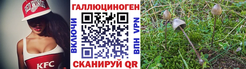 мориарти формула Киселёвск Псилоцибиновые грибы ЛСД